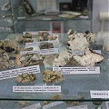 Цеолитовая минерализация фрагмент экспозиции Минералы Болгарии