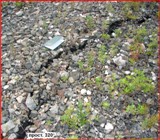 ������� ����� ��������� �������