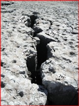 ������� ����� ��������� �������