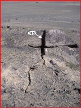 ������� ����� ��������� �������